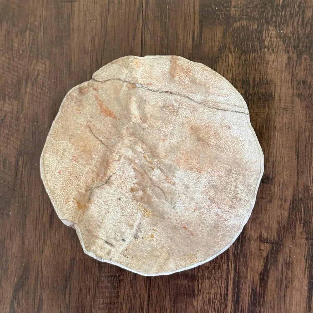 West Elm Petrified coasters set of 4